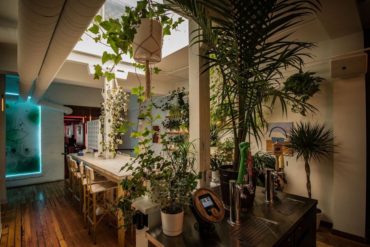 An indoor dinning room with a lot of plants.